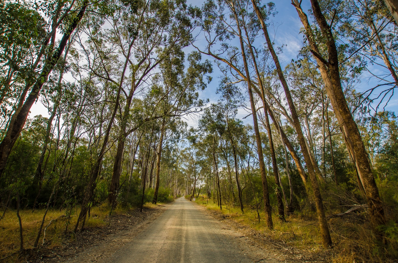 27-cape-horn-vineyard-murray-river | Morning Glory